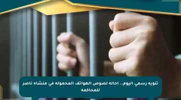 تنويه رسمي اليوم.. إحالة لصوص الهواتف المحمولة في منشأة ناصر للمحاكمة